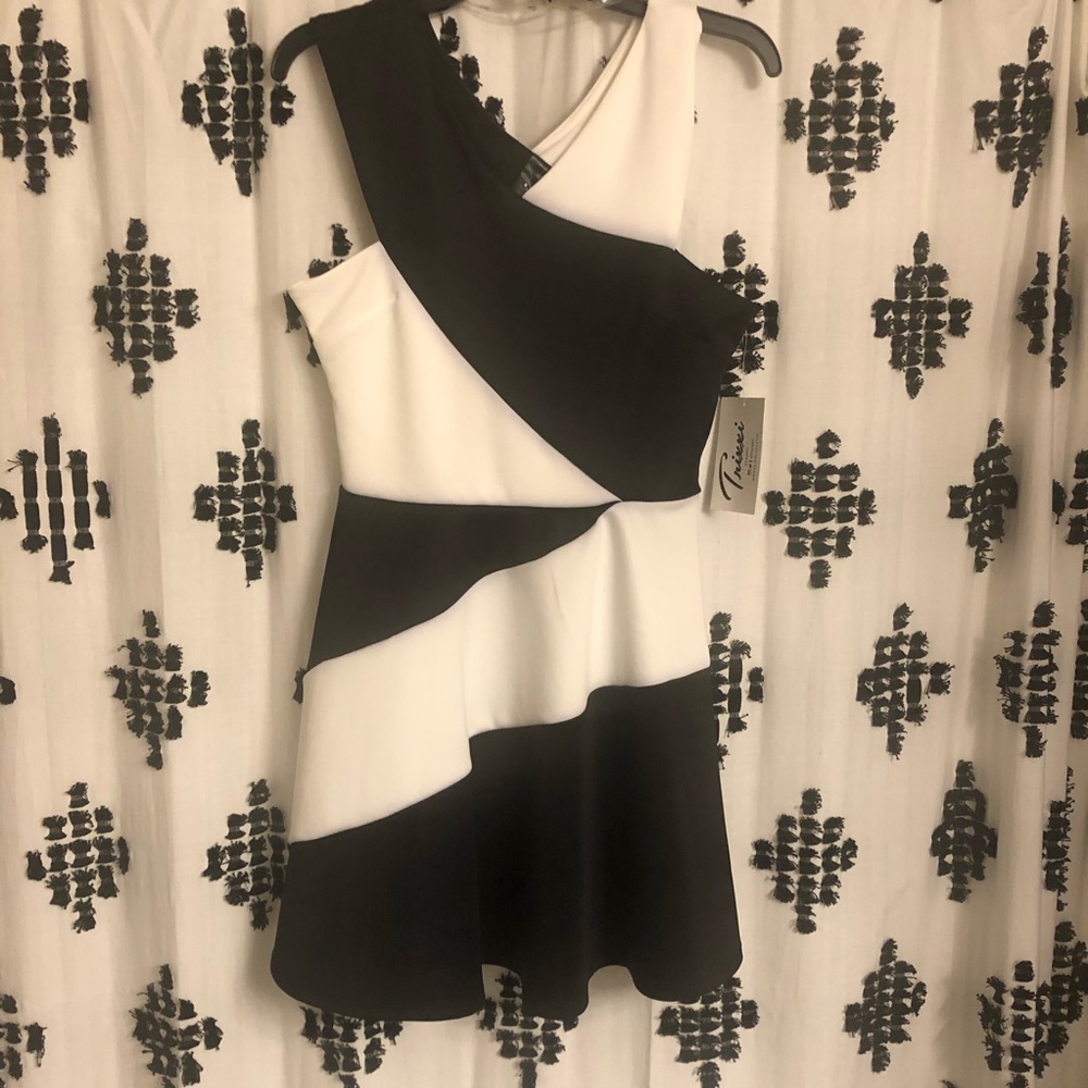 TRIXXI Fit and Flair BNWT